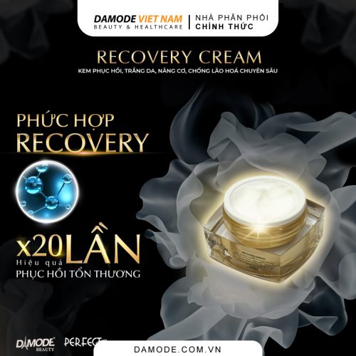 Advance repair recovery cream Damode kem phục hồi trắng da nâng cơ chống lão hóa